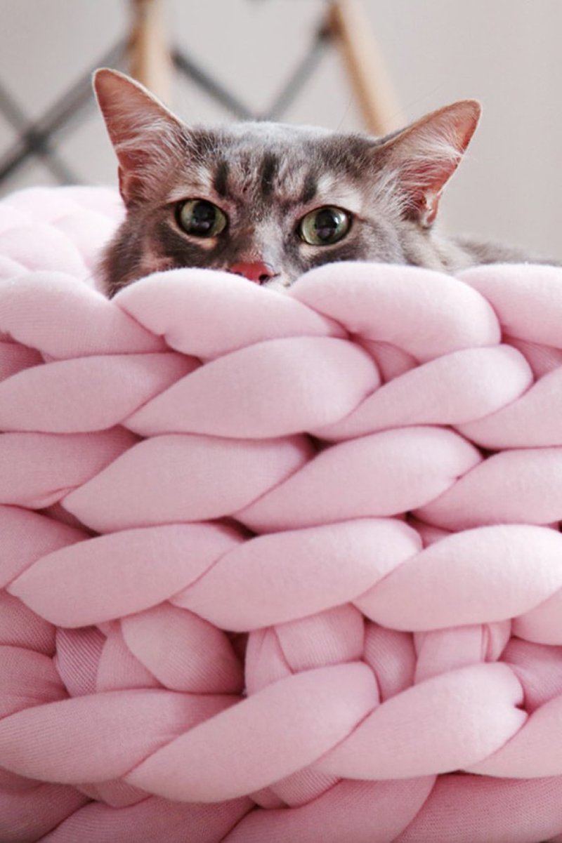 Chunky Cat Basket